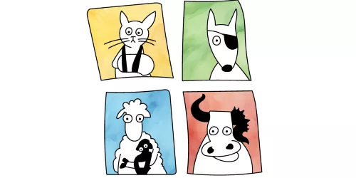 Tierarztpraxis Dammbühl