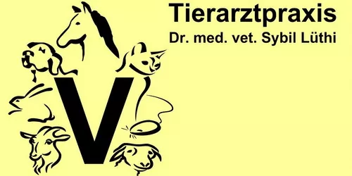 Tierarzt Lüthi